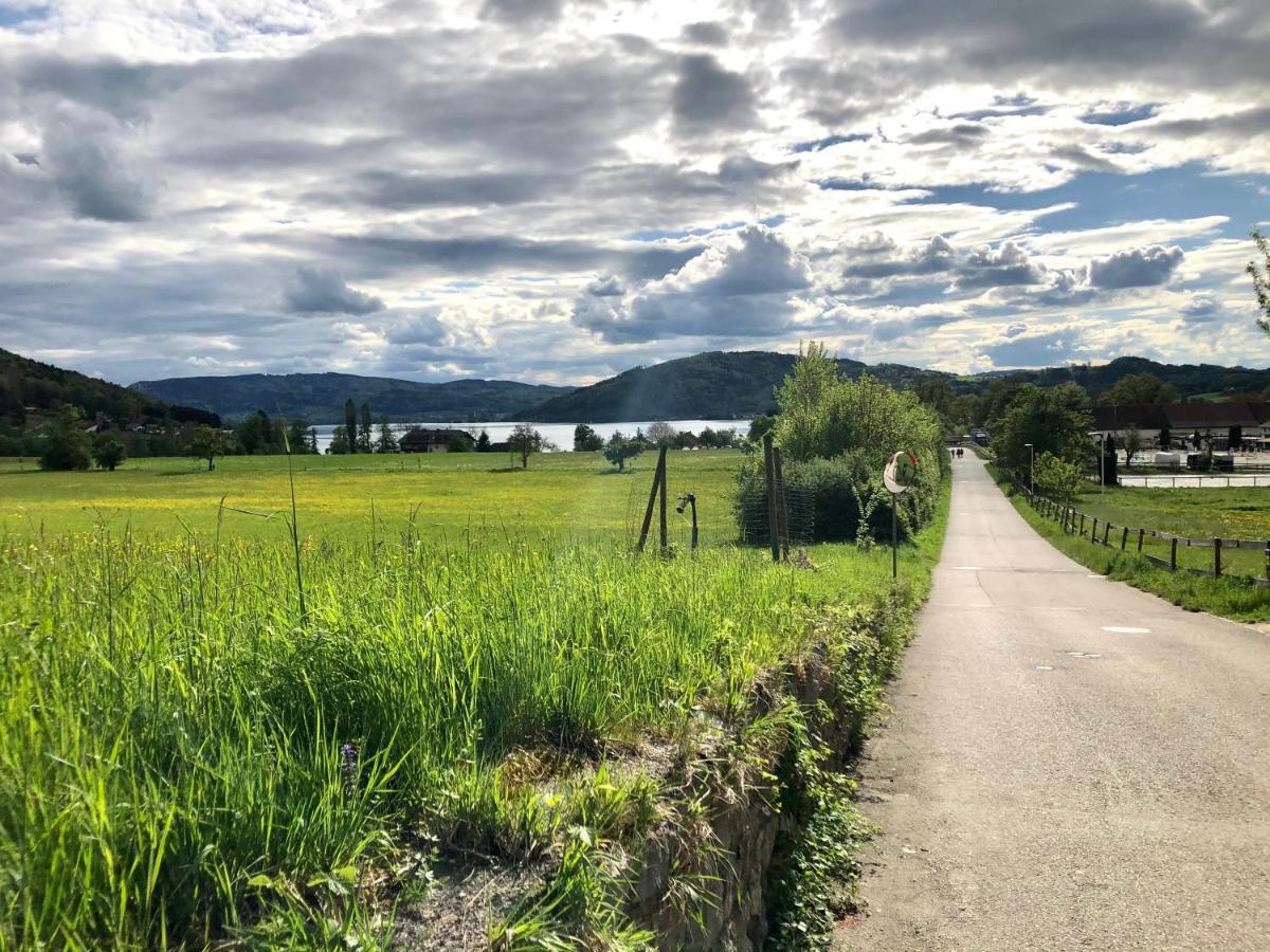 Danner Familien-ferienwohnungen Am Attersee Schoerfling